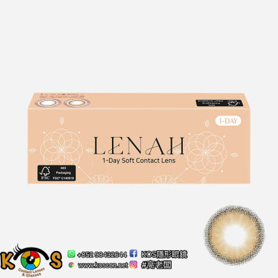 Lenah 1day Brown 렌아 브라운